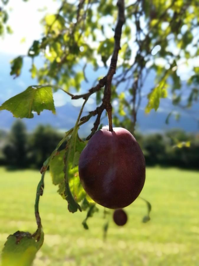 Saderhof Villa Bressanone Dış mekan fotoğraf